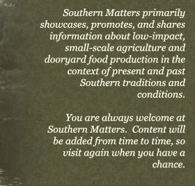 Southern Matters primarily showcases, promotes, and shares information about low-impact, small-scale agriculture and dooryard food production in the context of present and past Southern traditions and conditions. You are always welcome at Southern Matters. Content will be added from time to time, so visit again when you have a chance.