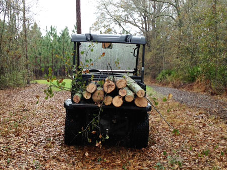 logs in buggy