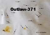 Thumbnail Photo