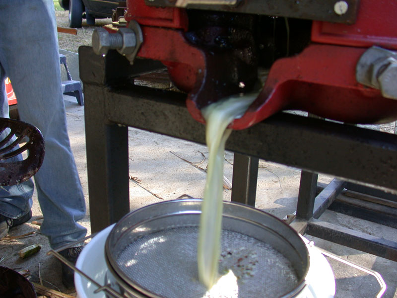 Sugar Cane Bill's Corner Making Syrup Southern Matters
