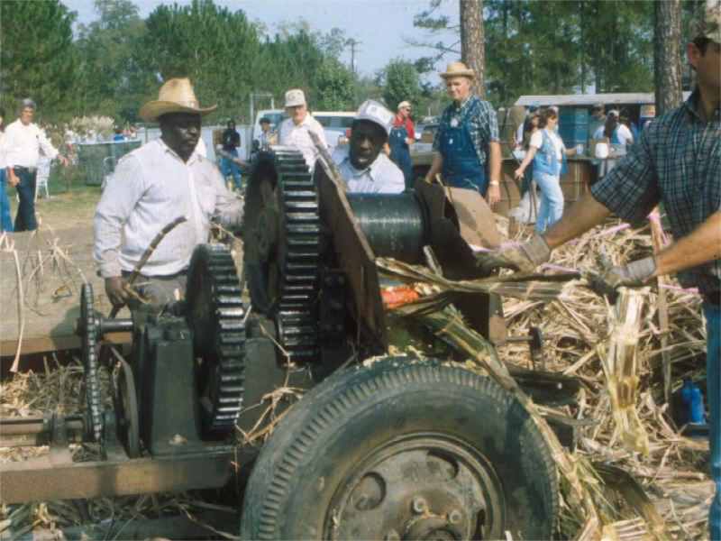Mule Day,