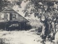 Avera Mill (left) & Tupelo Tree (right), Nashville, GA