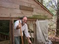 Chickens--part of any homestead