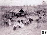 Statenville cane operation